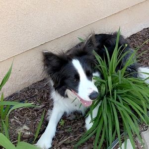 Meet your Posher, Kylan